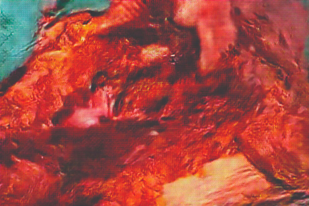 Detail of Harshit Agrawal, The Anatomy Lesson of Dr. Algorithm, 2018. Courtesy of Nature Morte, New Delhi.
